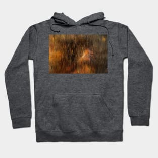 Golden Dreams Hoodie